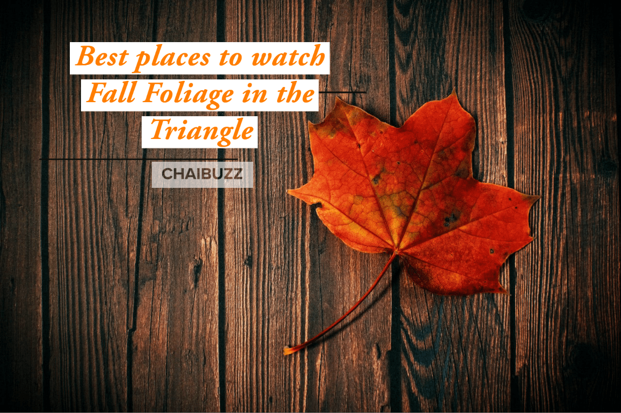article_bestplaces_fall_foliage_triangle_nc.png